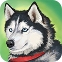 最新的美国ZOOM动物v1.0.0.5软件下载_美国zoom动物游戏下载